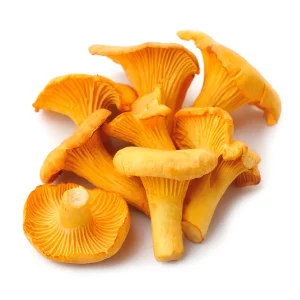 buy Chanterelle mushrooms online