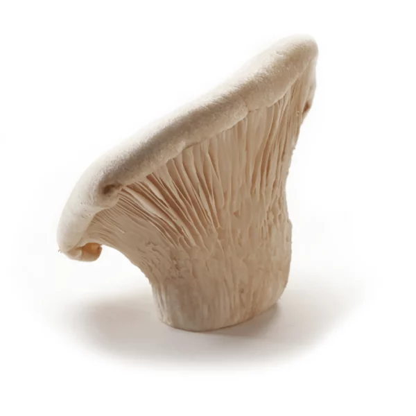 Akurataki Mushrooms
