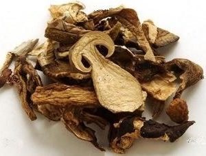 Buy Porcini Mushrooms Dried Online