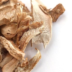 buy Matsutake Mushrooms online