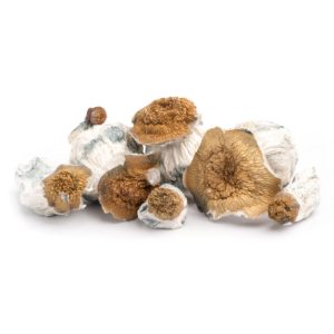Buy A+ Magic Mushrooms Online